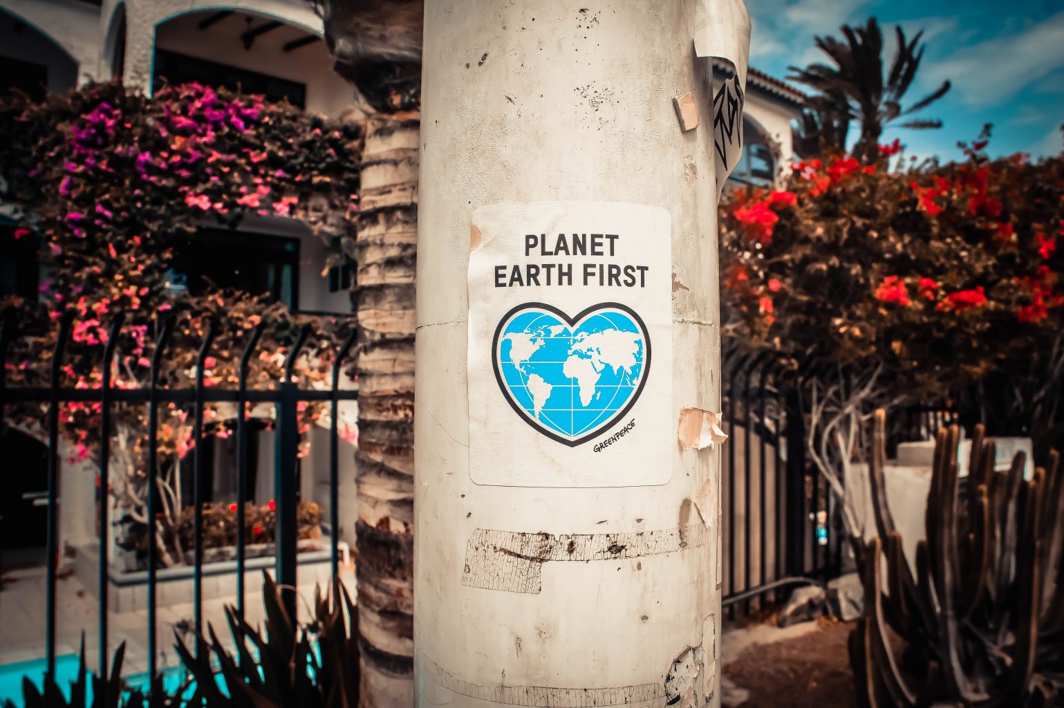 tree-planet-earth-first